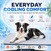 A black and white dog lies on a quilted cooling mat in a bright promotional scene with the text 'EVERYDAY COOLING COMFORT' and feature callouts for cool-touch surface, soft quilted fill, lightweight portability, and suitability for daily lounging.