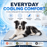 ChillPaws Cooling Mat - GOT THIS 4 YOU