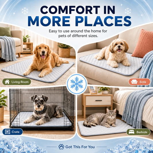 A promotional collage showing a quilted pet cooling mat in four home settings: a golden retriever on a mat in a living room, a small dog on a sofa, a gray dog in a crate, and a tabby cat on a bedside mat. Large text reads 'COMFORT IN MORE PLACES' with lifestyle room scenes and labels for Living Room, Sofa, Crate, and Bedside.