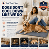 ChillPaws Cooling Mat - GOT THIS 4 YOU
