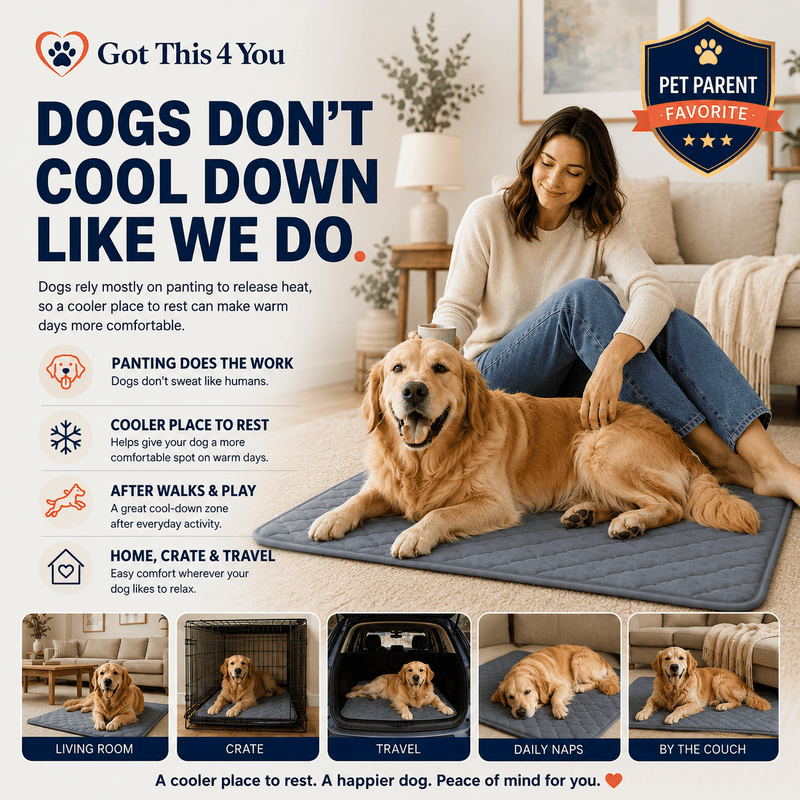 ChillPaws Cooling Mat - GOT THIS 4 YOU